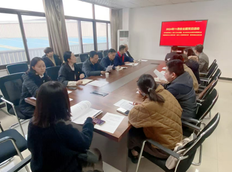 深入學(xué)習(xí)黨的二十屆三中全會(huì)精神，開(kāi)展主題黨日活動(dòng)